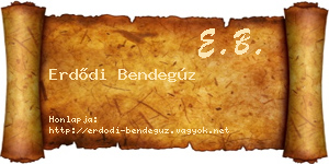 Erdődi Bendegúz névjegykártya